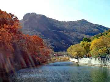 新澳天天开奖资料大全旅游团，夏利论坛